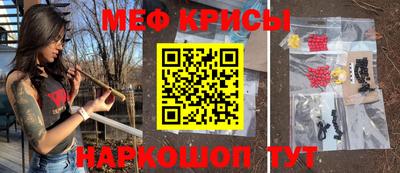 индика Кингисепп