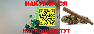индика Кингисепп
