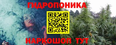 индика Кингисепп