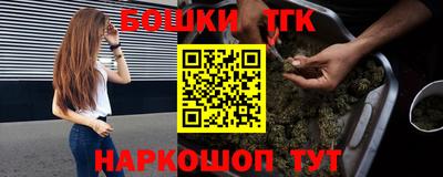 индика Кингисепп