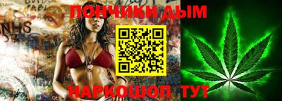 индика Кингисепп