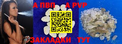 индика Кингисепп