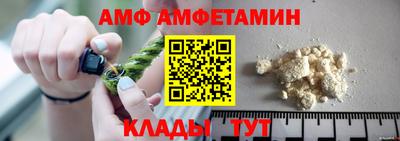 индика Кингисепп