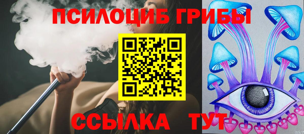 Галлюциногенные грибы Psilocybe  Вход с VPN  Чистополь  Галлюциногенные грибы мухоморы 