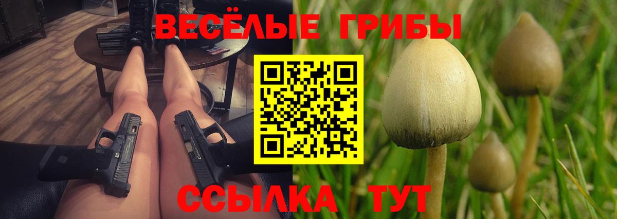 Галлюциногенные грибы мухоморы Чистополь